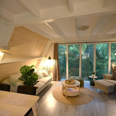 Boshuisje Ajeto Chalet