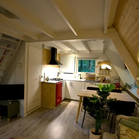 Boshuisje Ajeto Chalet