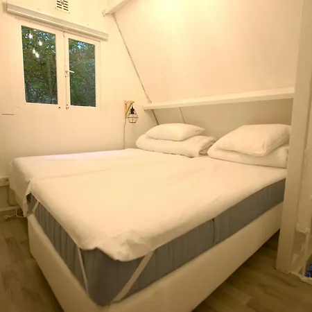 Boshuisje Ajeto Chalet *