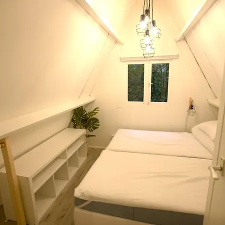 Boshuisje Ajeto Chalet