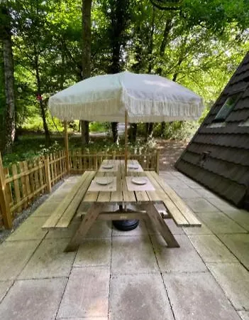 Chalet Boshuisje Ajeto *