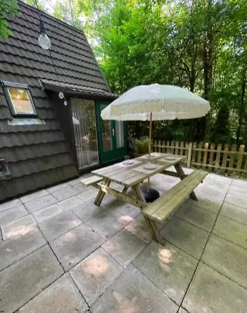 Chalet Boshuisje Ajeto
