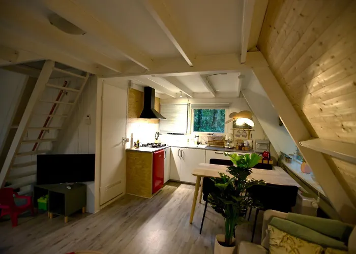 Boshuisje Ajeto Chalet