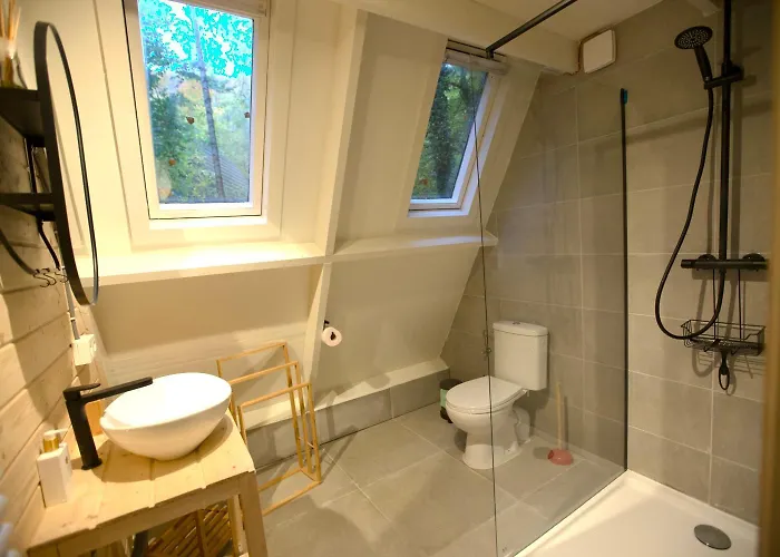 Chalet Boshuisje Ajeto