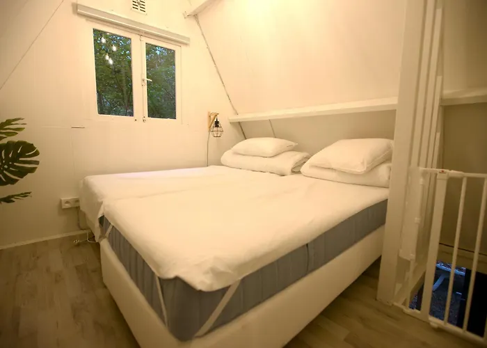 Boshuisje Ajeto Chalet *