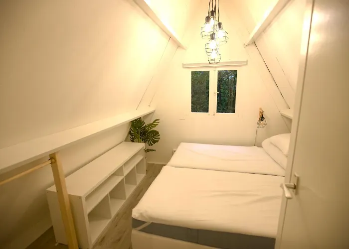 Boshuisje Ajeto Chalet