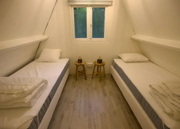 Boshuisje Ajeto Chalet *