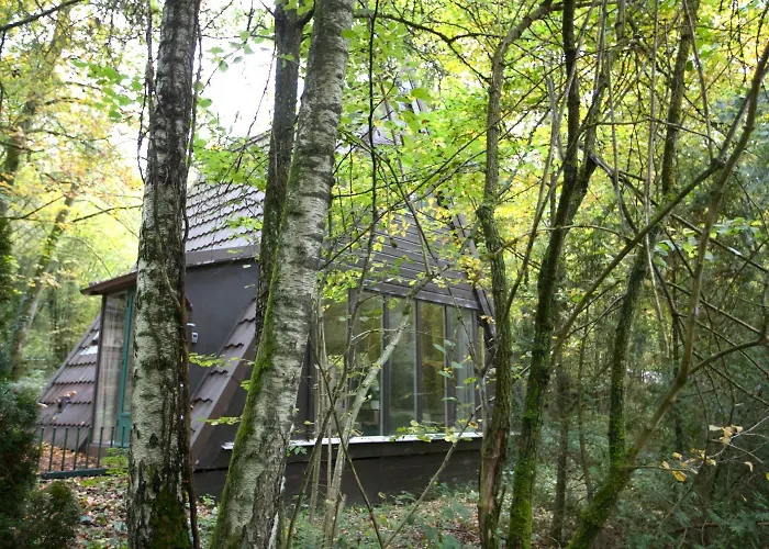 Boshuisje Ajeto Chalet Durbuy